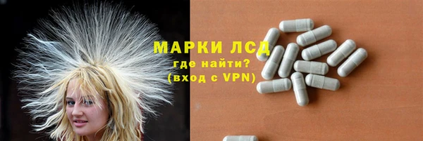 ПСИЛОЦИБИНОВЫЕ ГРИБЫ Абаза