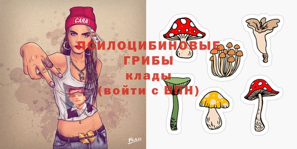 трава Сатка