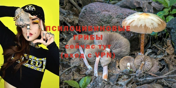 PSILOCYBIN Алексин