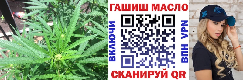 ТГК гашишное масло  Вытегра 
